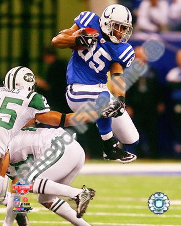 Pierre Garcon 2009 AFC Championship Game Poster