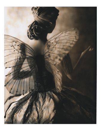 Buy Fairy Girl with Wings at AllPosters.com