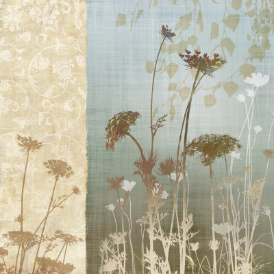 Delicate Fields I