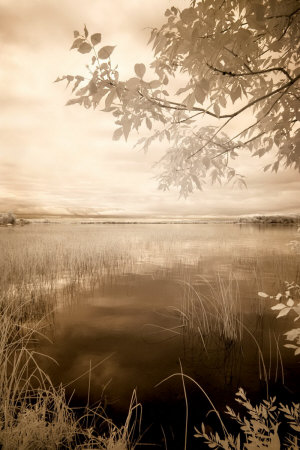 Buy Peaceful Morning II at AllPosters.com