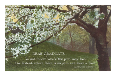 Advice for the Graduate, Cherry Blossoms,