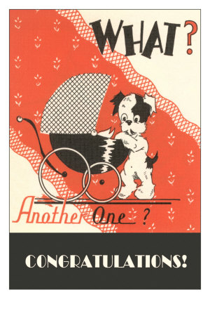 What? Another One? Dog with Pram