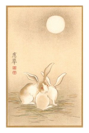 Rabbits and the Moon