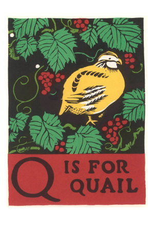 Q is for Quail