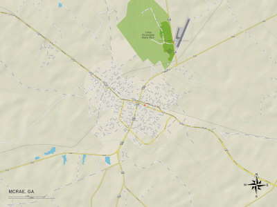 Political Map of McRae, GA