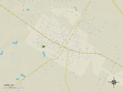Political Map of Loris, SC