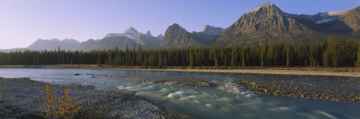Trees Along a River with a Mountain Range in Back, Athabasca River, Jasper National Park, Alberta