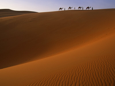 Buy Tenere Desert, Camel Caravan Travelling Through the Air Mountains and Tenere Desert, Niger at AllPosters.com