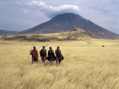 Buy Maasai Warriors Stride across Golden Grass Plains at Foot of Ol Doinyo Lengai, 'Mountain of God' at AllPosters.com