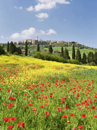 Hill Town Pienza and Field of Poppies, Tuscany, Italy