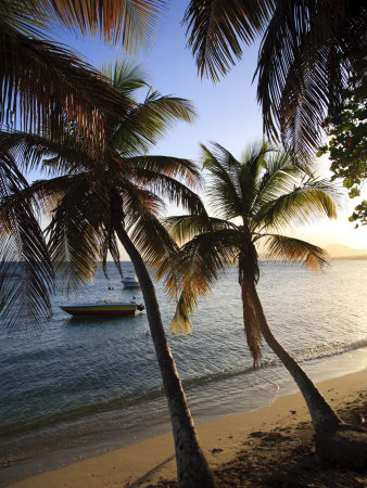 Buy Vieques Island, Esperanza Bay, Puerto Rico at AllPosters.com