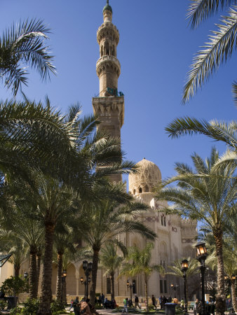 Families Relax after Prayers in Tree-Lined Garden of Abu Al-Abbas, Al-Mursi Mosque, Alexandria