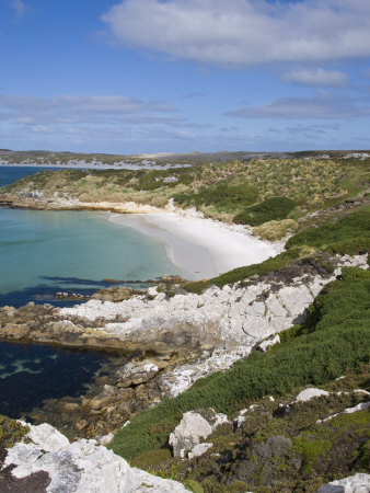 Gypsy Cove, Yorke Bay, Port Stanley, Falkland Islands, South America