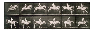 Buy Man and horse jumping a fence, plate 643 from 'Animal Locomotion', 1887 at AllPosters.com