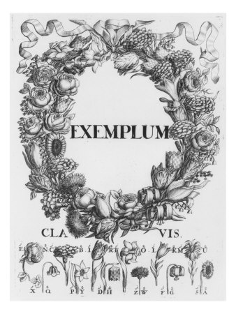 Language of Flowers, Illustration from