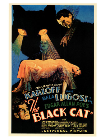 The Black Cat