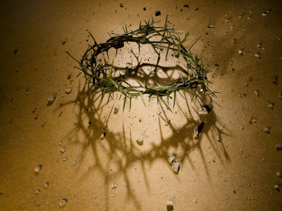 Crown of Thorns with Large Shadow and Pieces of Rock Posters