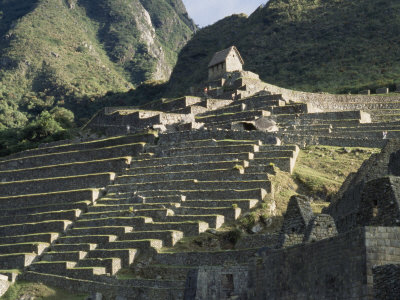 Buy View of Stone Terraces at Machu Picchu at AllPosters.com