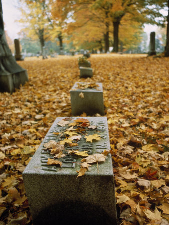 Buy Fall Leaves Surround a Grave Stone in a Wellsville New York Cemetery at AllPosters.com