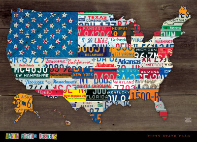 Fifty State Flag