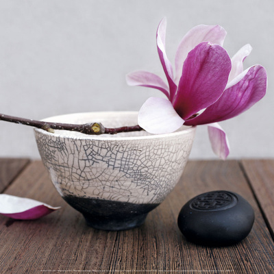 Magnolia and Bowl