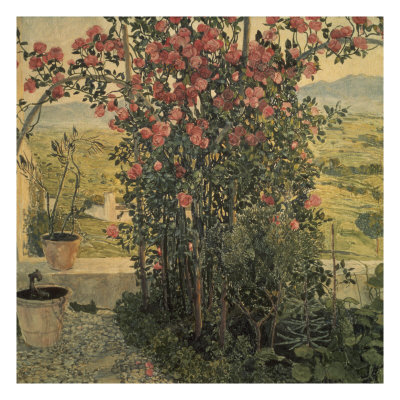 Valley in Umbria