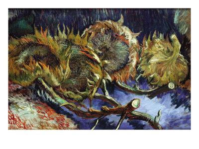 Buy Four Sunflowers Gone To Seed at AllPosters.com