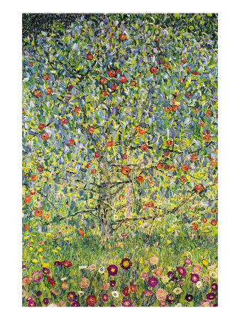 Apple Tree