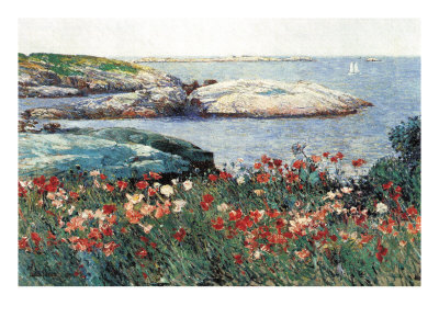 Poppies, Isle of Shoals
