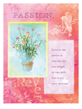 Passion of the Soul