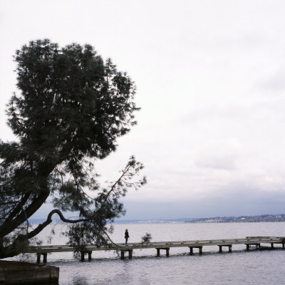 Woman Stands on Dock Next to Pine Tree, Lake Washington, Seattle, Washington State, Usa