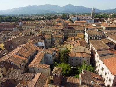 View of Lucca from Torre Guinigi, Lucca, Tuscany, Italy, Europe