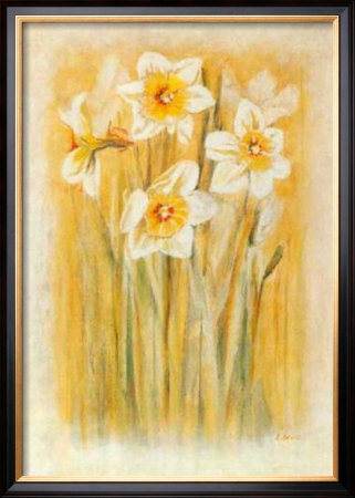 Narcisses I