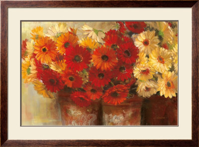 Chelsea Gerberas