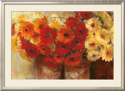 Chelsea Gerberas