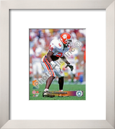 Brian Dawkins