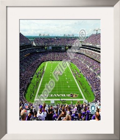 M&T Bank Stadium 2009