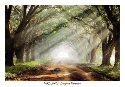 Evergreen Plantation