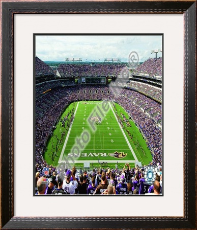 M&T Bank Stadium 2009