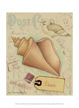 Postcard Shells III