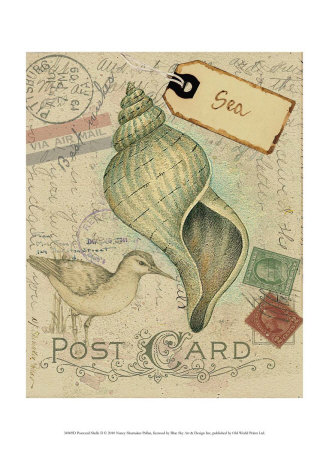 Postcard Shells II