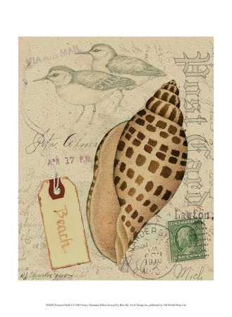 Postcard Shells I