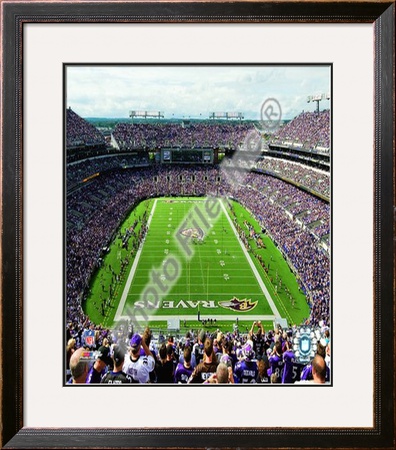M&T Bank Stadium 2009