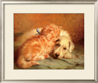 Kitten and Puppy