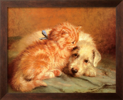 Kitten and Puppy