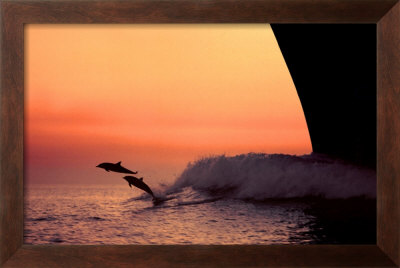 Buy Flight at AllPosters.com