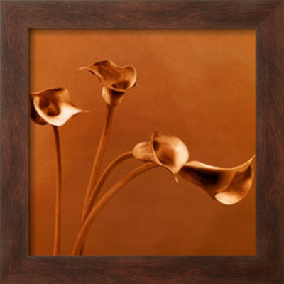 Buy Callas at AllPosters.com