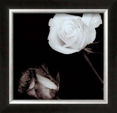Buy Two Roses at AllPosters.com