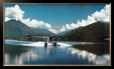 Buy De Havilland Beaver Seaplane at AllPosters.com