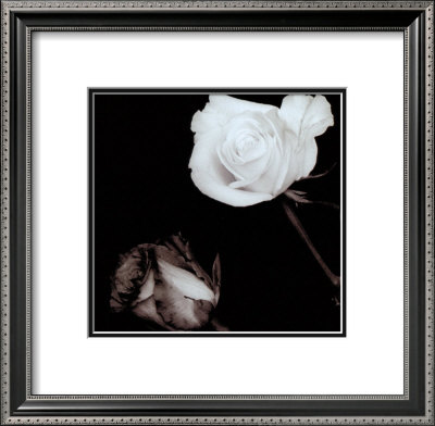 Buy Two Roses at AllPosters.com
